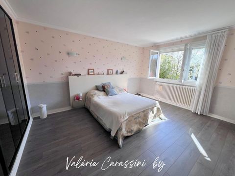 photo no. 8