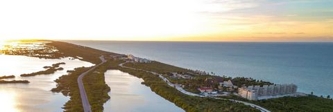 Investir em Yucatán é o estado do México que cidades e vilas belas praias coloridas de águas ou cercadas por vegetação robusta, não só oferecendo isso, mas muito mais: garantindo e dando-lhe grandes retornos sobre o seu investimento. Um estilo de vid...