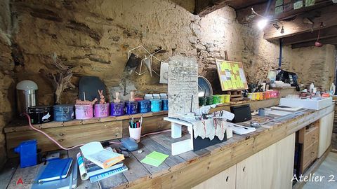 photo no. 11