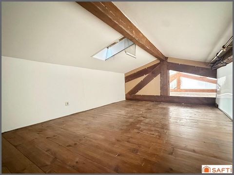 photo no. 14