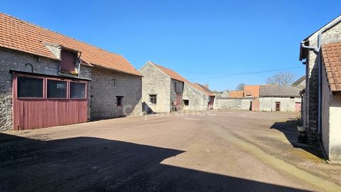 photo no. 2