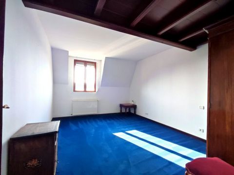 photo no. 12