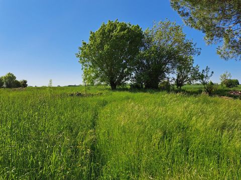 Terrain à bâtir