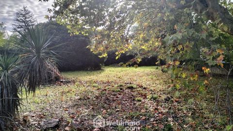 photo no. 11