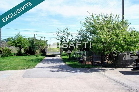 photo no. 12