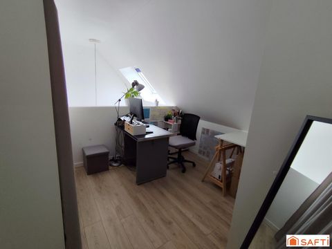 photo no. 11
