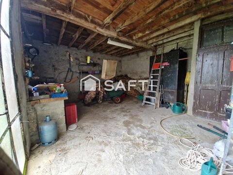 photo no. 10