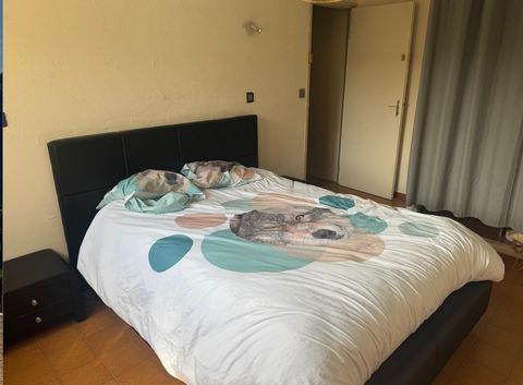 photo no. 14