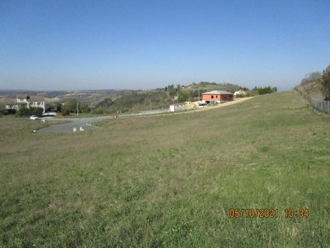 photo no. 3