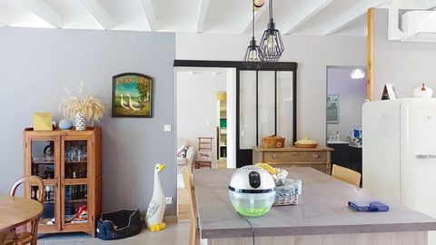 photo no. 13