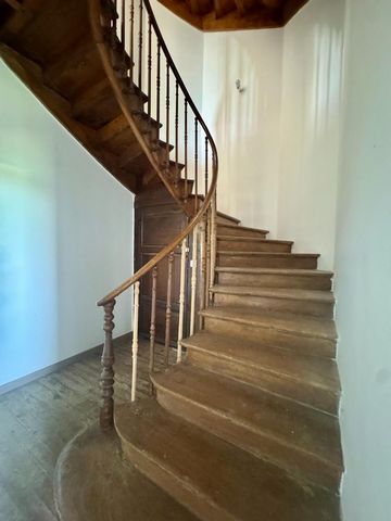 photo no. 12
