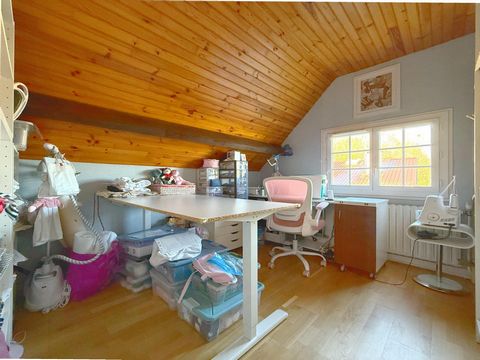 photo no. 12