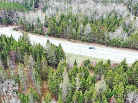 Land along Route 117 northbound with an area of 74,636 square feet. Zoning allowing the construction of a single-family or two-family residence or a business. Centris#12714565 Google Maps : 46.480751, -74.960956 Across from 11083 Route 117 North, Riv...