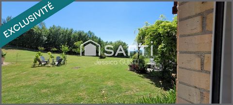 photo no. 12