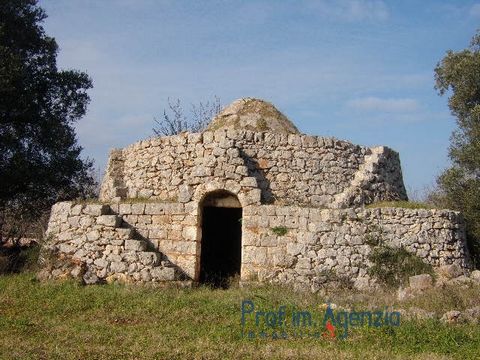 Saracen Trullo in the countryside of Carovigno for sale. The trullo is located on a beautiful flat plot of land, and it is composed of 2 alcoves and 2 little recess; the plot of land is cultivated with centuries-old olive grove. Possibility to realis...