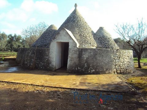 3 coned trullo, composed of 2 rooms, water tank and opposite forecourt. Possiblity of expanding. Land cultivated with olive and fruit grove Location information : 15 km from the sea, 8 km from Ostuni, 4 km from San Michele Salentino, 6 km from Ceglie...