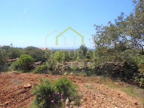 A Rural Retreat with Sea View: Where Serenity Meets the Horizon Discover this rustic land of 4,800m2 located in a stunning rural area in Alcaria Cova, Estoi, Algarve. Comprising arable land and characteristic trees of the region such as carob and oli...
