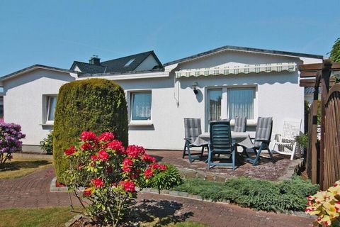 Comfortably furnished holiday homes with WiFi and a barbecue area in the seaside resort of Zinnowitz, just 900 meters from the Baltic Sea. A terrace and a well-kept garden plot for shared use, also with the neighboring property DOS08177, invite you t...