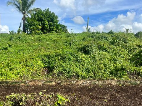 This lot has a view overlooking St Catherine! A beautiful corner lot in a new development only 45mins from Kingston. NHT applicants are welcomed.