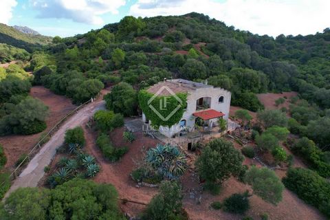 Rustic design estate with a 220 m² built entirely sandstone house raised off the ground to prevent moisture from entering the house, with a 100 m² herd and few neighbors in the Alaior countryside on a 16 ha plot with horses . The property is distribu...