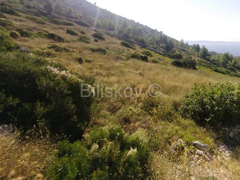 Hvar, Ivan Dolac, extremely attractive agricultural land on the slopes of the southern part of the island of Hvar in an area particularly known for the cultivation of the Plavac mali variety. 850 meters from the sea, sunny most of the day, beautiful ...