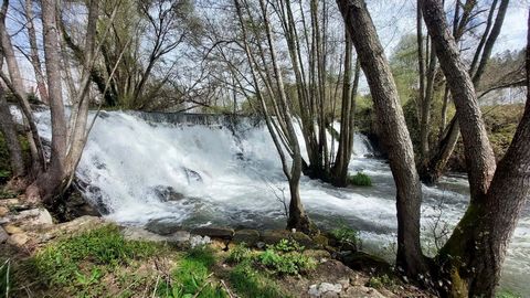 On the banks of the Sátão River, in the lands of the Dão, where at every corner there are whispers Stories of an olive oil mill of yesteryear, this small paradisiacal piece extends. When we glimpse the waterfall we are breathless and want to rest and...