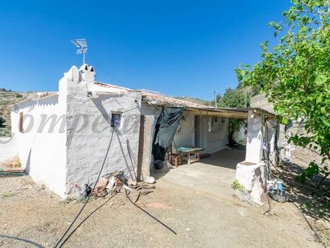 This represents one of our country properties in Spain, situated roughly 20 minutes by car from Sedella, nestled in a quiet setting ideal for immersing oneself in nature. The property is set across a generous plot spanning approximately 10,000 square...