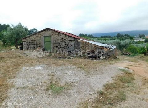 Detached farm with 1.7Ha. Location close to Alpedrinha and Póvoa de Atalaia. Highlight for the stone storage shed for the fertile soil with culture (fruit trees, cherry trees, sour cherries and olive groves). It also has its own water (well, borehole...