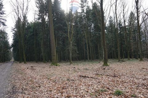 KRYSTIAN STAŃCZYK Lead Agent Tel: +48   Location: Budzów Suski County Woj. Lesser poland voivodeship For sale 1 of 13 forest plots No. 1918/11, with an area of about 1100 m2. Forest between 30-50 years. Mainly pine, fir and larch. The plot is flat, w...