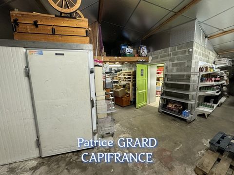 photo no. 2