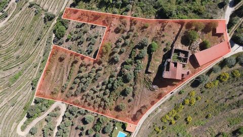 Quinta Fraga do Gato is located in the Alto Douro wine region, classified as a UNESCO World Heritage Site. It consists of: - Property for total reconstruction (feasibility study) with 358 m2; - Fully rehabilitated agricultural support warehouse with ...