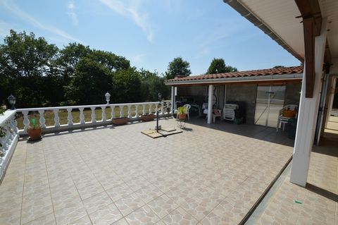 photo no. 3