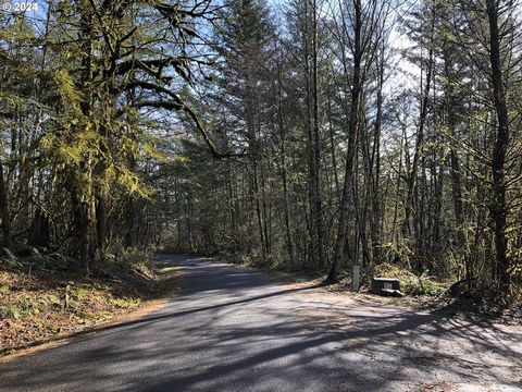 Beautiful and Private 6.8 Acre corner lot in gated community, with beautiful homes surrounding the area. Wooded lot, with multiple spots for building your dream home in Cougar Creek.