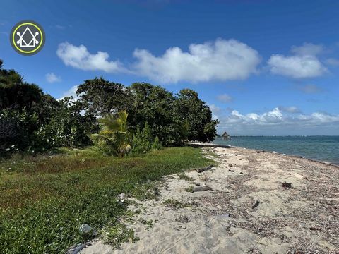 Spanning 2.8 acres, this beachfront property proudly presents 250 feet of direct beach access. Positioned just 5 minutes north of the central Placencia village and a short drive from the municipal airstrip, this development land offers an opportune l...