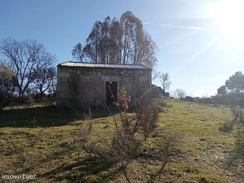 Excellent land with 76840m2 located in Aldeia das Águas, Penamacor. It has a Rural Construction with 44m2 all in Stone in very good condition. 2 ponds where 1 of the ponds has a mine. Walled and fenced land, composed of cork oaks, eucalyptus, stone p...
