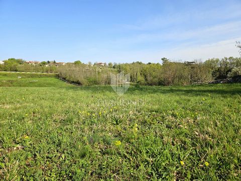 Location: Istarska županija, Poreč, Poreč. Poreč-Bereich, großzügiges Baugrundstück Dieses großzügige Baugrundstück steht an einem ruhigen Ort, nur 15 Autominuten von der Stadt Poreč und ihren Stränden entfernt, zum Verkauf. Aufgrund seiner Lage biet...