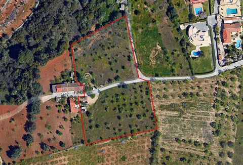 Rustic land with 10059 m2, located between Guia and Albufeira in Vale da Ursa. There are several trees on the land, of which almond trees are the predominant ones. Next to the land there is electricity, mains water and access via a tarmac road. It ha...