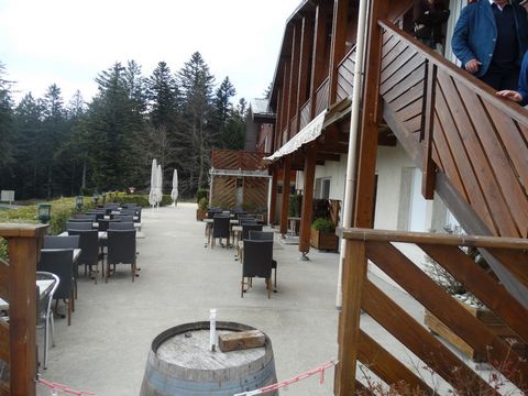 photo no. 7