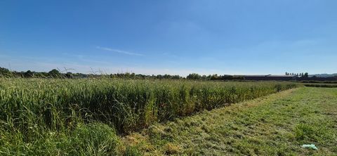 Idéalement situé entre les communes de VERTUS et VOIPREUX, je vous propose à la vente un terrain à bâtir non viabilisé d'environ 3 500 m². Ce terrain est plat, rectangulaire et s'étend sur 70 mètres en façade, entre vignes et champs. Le propriétaire ...