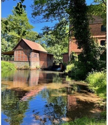 Beleef uw droomtijd in het prachtige heidedorp Müden/Örtze. Ons vakantieappartement ligt in een rustige woonwijk, op een paar meter van het bos. Een ideaal startpunt om fiets- of wandeltochten te starten.