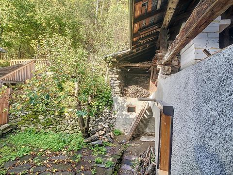 photo no. 4