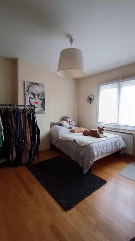 photo no. 11