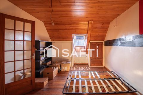 photo no. 11