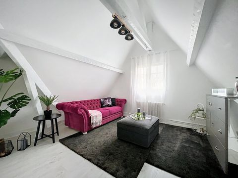 photo no. 12