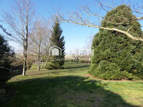 photo no. 15