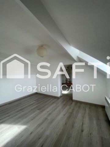 photo no. 12
