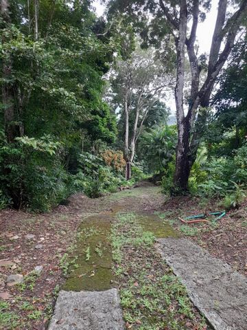 photo no. 12