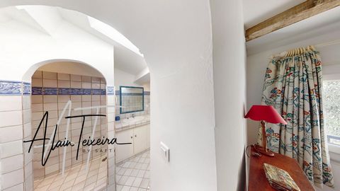 photo no. 14