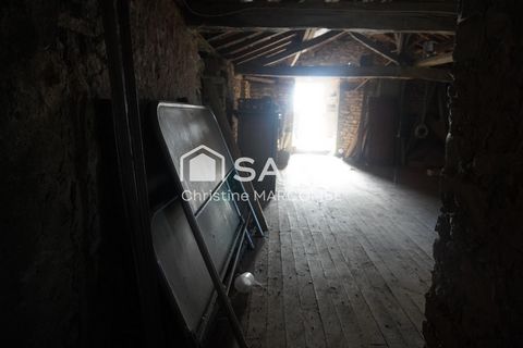 photo no. 15