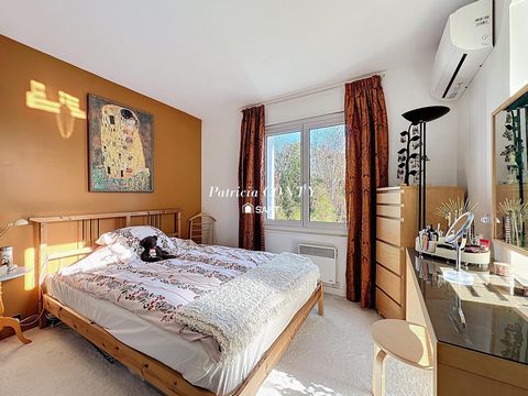 photo no. 13